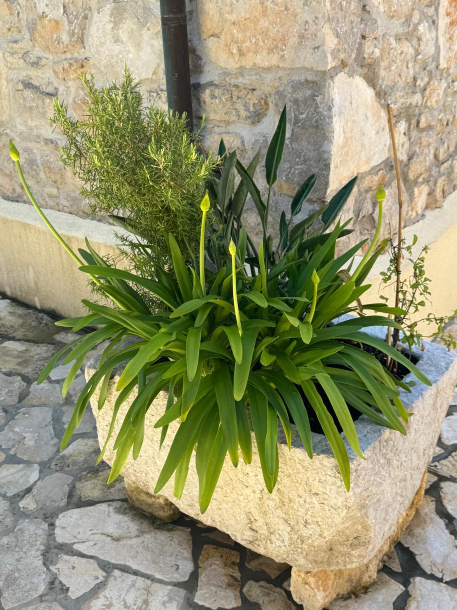 Mediterranes Ferienhaus M. Terrasse Veli Lošinj Eksteriør billede